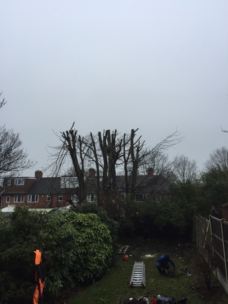 Gardener: Image 4